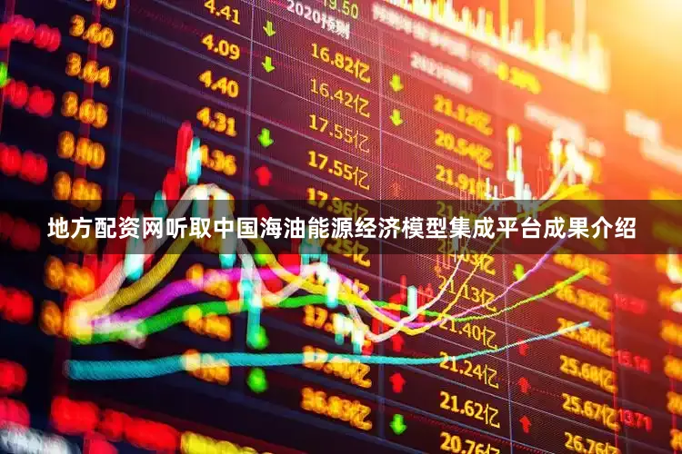 地方配资网听取中国海油能源经济模型集成平台成果介绍