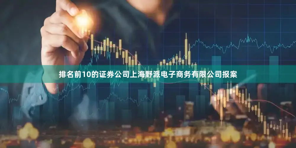 排名前10的证券公司上海野派电子商务有限公司报案